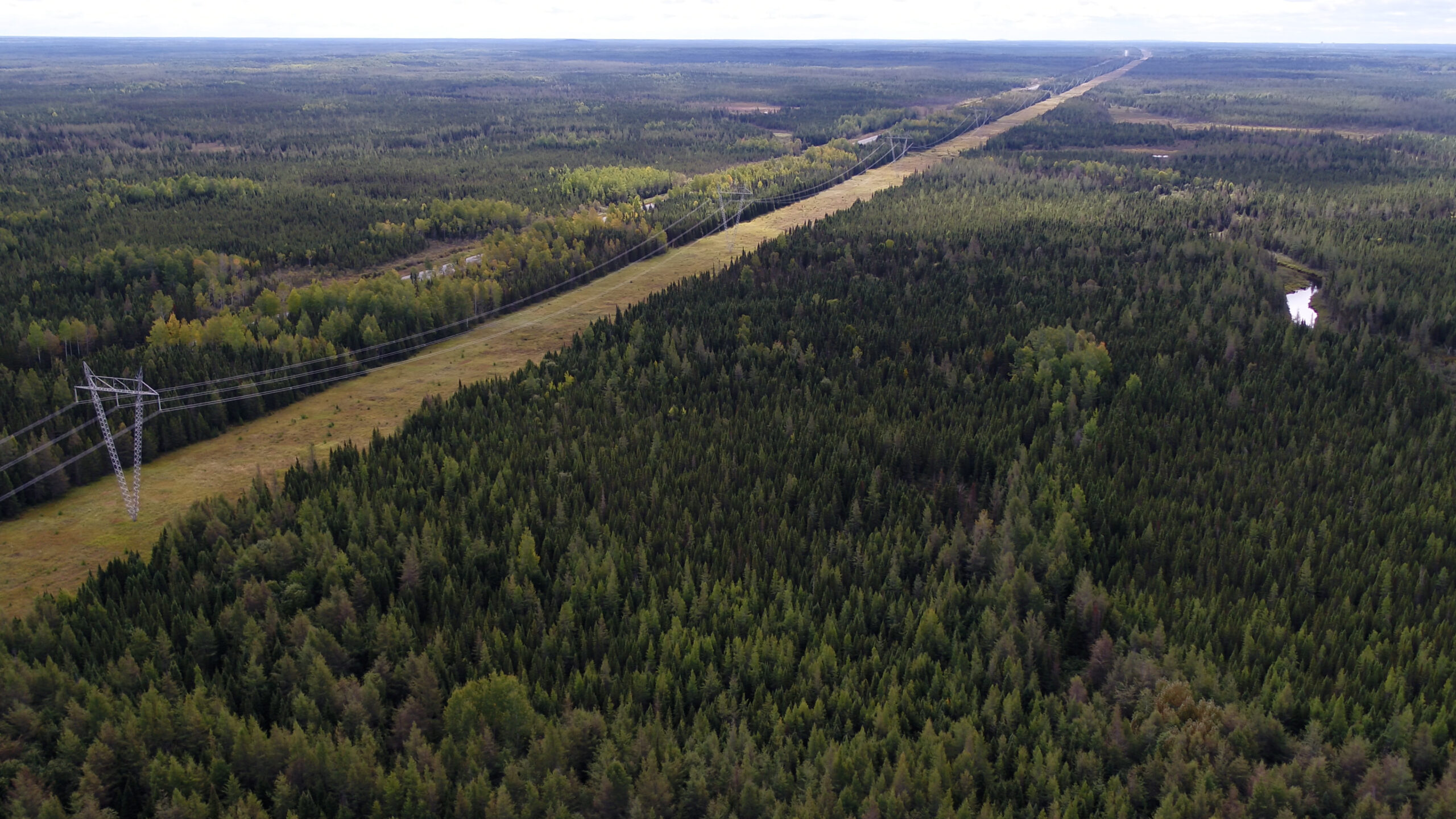 Dji 0096.00 00 00 00.still006