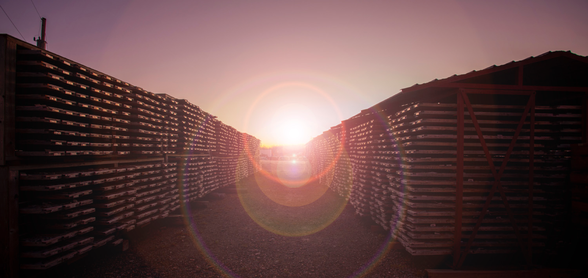 Homepage Hero Background