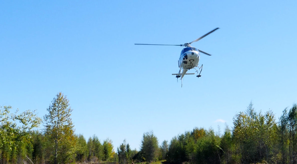 Community Newsletter June 2022